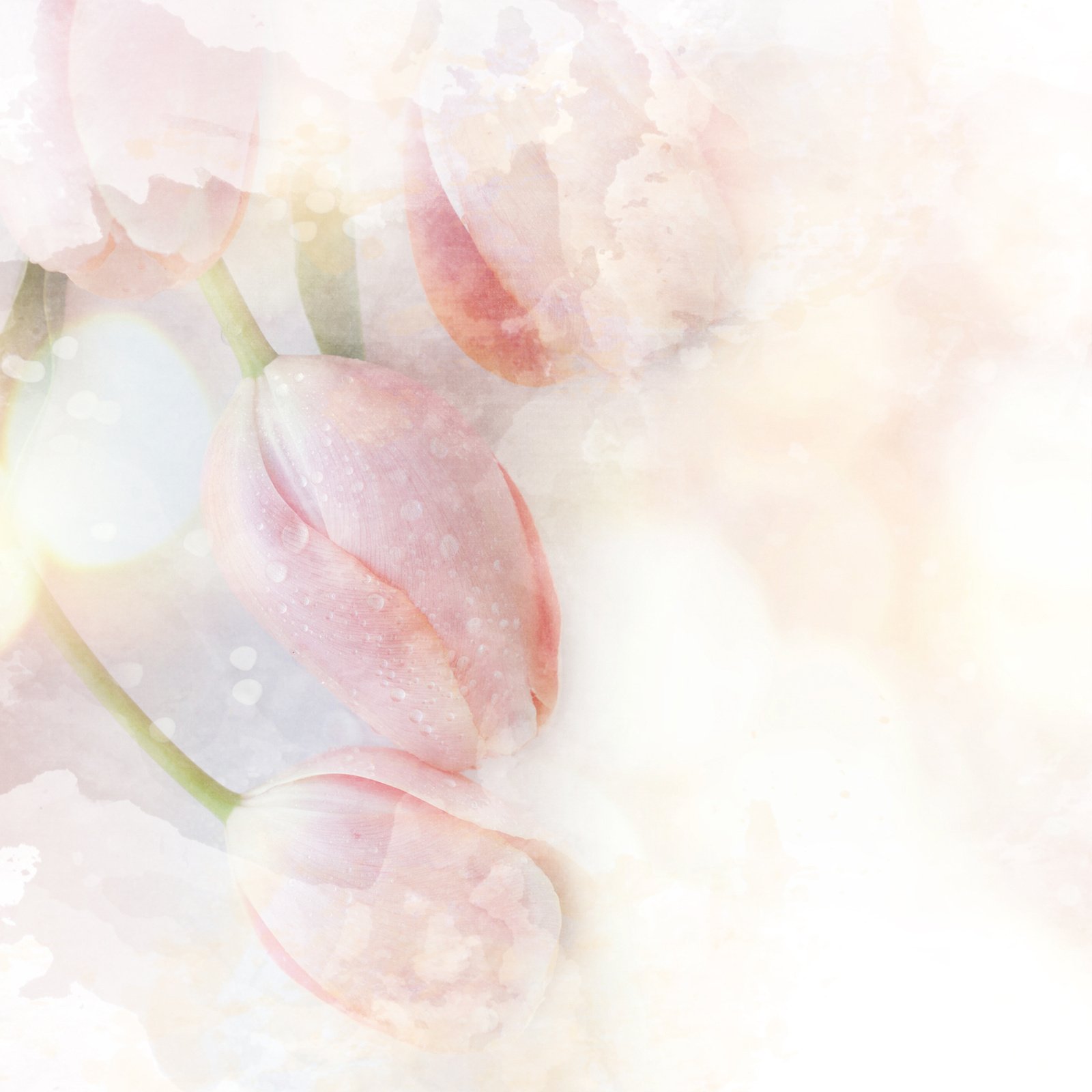 Watercolor background with spring flower