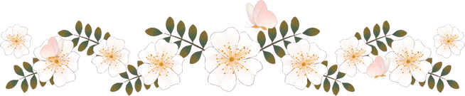 Soft Painting White Wild Rose Flower Line Border